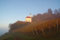 Vineyard And Church In Misty Autumn Morning Royalty Free Stock Photo