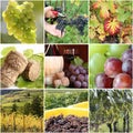 Vineyard collage Royalty Free Stock Photo