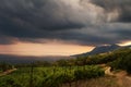 Vineyard and dark stormy clouds. Sea mountain panoramic view. Vine grape harvest growing plants on trellis canopy system
