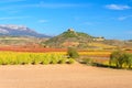 Vineyard with Davaillo castle as background, La Rioja Royalty Free Stock Photo