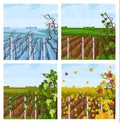 Vineyard different season set collection Vector decor