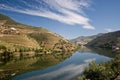 Vineyard on Douro river