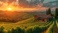 A Vineyard Dreamscape: A Cottage Nestled Amidst Rolling Hills and Vineyards at Sunset