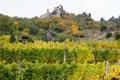 Vineyard with DÃÂ¼rnstein castle ruin Royalty Free Stock Photo