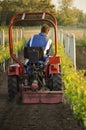 Vineyard and farmer in tractor