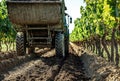 Vineyard Fertilizing: Tractor Prepares Soil, generative ai