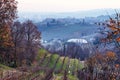 Vineyard field in Conegliano Royalty Free Stock Photo