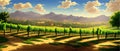 Vineyard Field on hills vector illustration. Artistic landscape with growing Royalty Free Stock Photo
