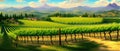 Vineyard Field on hills vector illustration. Artistic landscape with growing Royalty Free Stock Photo