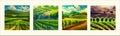 Vineyard Field on hills vector illustration. Artistic landscape with growing Royalty Free Stock Photo