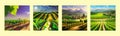 Vineyard Field on hills vector illustration. Artistic landscape with growing Royalty Free Stock Photo