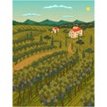 Vineyard field vector grape wine plantation scene Royalty Free Stock Photo