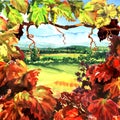 Vineyard frame with beautiful village rural landscape, field, meadows, sunny day, hand drawn watercolor illustration