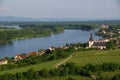 Vineyard in Germany