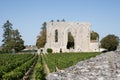 Vineyard grapes ruins of ancient convent in Saint Emilion near Bordeaux France Royalty Free Stock Photo