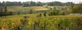 Vineyard green autumn landscape of Saint Emilion Bordeaux in web banner template header Royalty Free Stock Photo