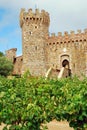 A vineyard grows in the front yard of a recreated Medieval castle