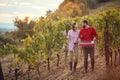 Vineyard. Happy couple at a vineyard. Couple harvesters grape in vineyard