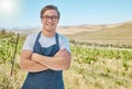 Vineyard and happy farmer man in the countryside with smile at a farm in nature in summer. Health, agriculture and Royalty Free Stock Photo