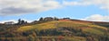 Vineyard hill at fall. Piedmont, Northern Italy. Royalty Free Stock Photo
