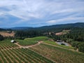 Vineyard Hills with Barn and Pond