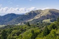 Vineyard on the hills of Sonoma County, Sugarloaf Ridge State Park, California Royalty Free Stock Photo