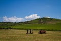 Vineyard and hills, Tokaj - A Unesco World Heritage Site Royalty Free Stock Photo