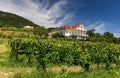 Vineyard with house in Balaton uplands, Hungary Royalty Free Stock Photo