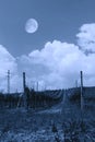 Vineyard i the night Royalty Free Stock Photo