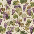 Vineyard illustration features clusters of purple grapes intertwined with green leaves, brown branches. Repeating pattern evokes Royalty Free Stock Photo