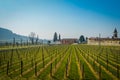 Vineyard italian fields wine Royalty Free Stock Photo