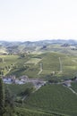 Vineyard italian landscape: Barbaresco