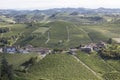Vineyard italian landscape:  Barbaresco Royalty Free Stock Photo