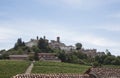 Vineyard italian landscape: Neive