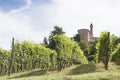 Vineyard italian landscape:  Neive Royalty Free Stock Photo