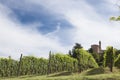 Vineyard italian landscape: Neive