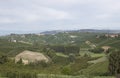 Vineyard italian landscape:  Roero and Monferrato Royalty Free Stock Photo