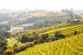 Vineyard in Jeruzalem village of Slovenia Royalty Free Stock Photo