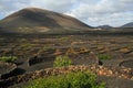 Vineyard - La Geria, Lanzarotte. Spain