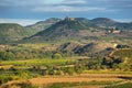 Vineyard in La Rioja, the largest wine producing region in Spain Royalty Free Stock Photo