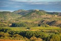 Vineyard in La Rioja, the largest wine producing region in Spain Royalty Free Stock Photo