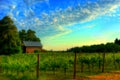Vineyard landscape Royalty Free Stock Photo