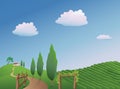 Vineyard Landscape Royalty Free Stock Photo