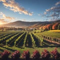 vineyard landscape. Autumn grapes harvest made with Generative AI Royalty Free Stock Photo