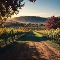 vineyard landscape. Autumn grapes harvest made with Generative AI Royalty Free Stock Photo