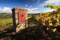 Vineyard landscape in autumn with typical artesian well Royalty Free Stock Photo