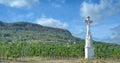 Vineyard Landscape,Badacsony,Lake Balaton,Hungary Royalty Free Stock Photo