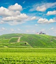 Vineyard landscape cloudy blue sky. Champagne France Royalty Free Stock Photo