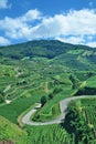 Vineyard Landscape,Kaiserstuhl,Black Forest,Germany Royalty Free Stock Photo