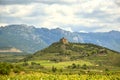Vineyard landscape with the medieval Castle of Davalillo. Royalty Free Stock Photo